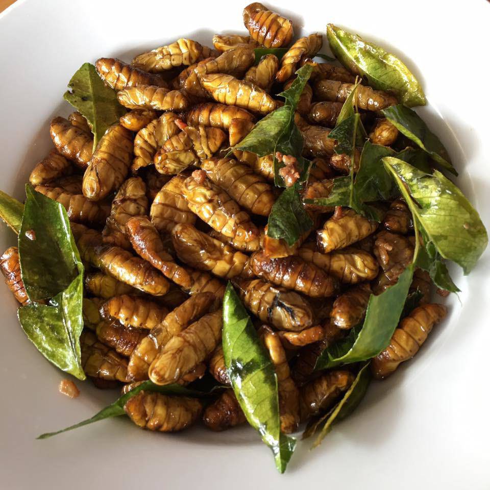 Vì sao ăn đuông dừa, nhộng tằm lại bị sốc phản vệ?